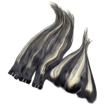 Bone straight piano taille 26 avec frontale - cheveux naturels