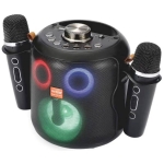 ENCEINTE BLUETOOTH AVEC MICROS KARAOKE