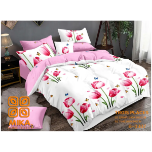 Bedsheets - Draps 3 places et oreillers