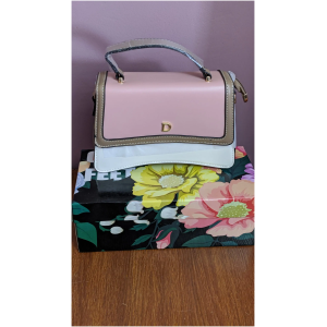 Dior mini Handbag