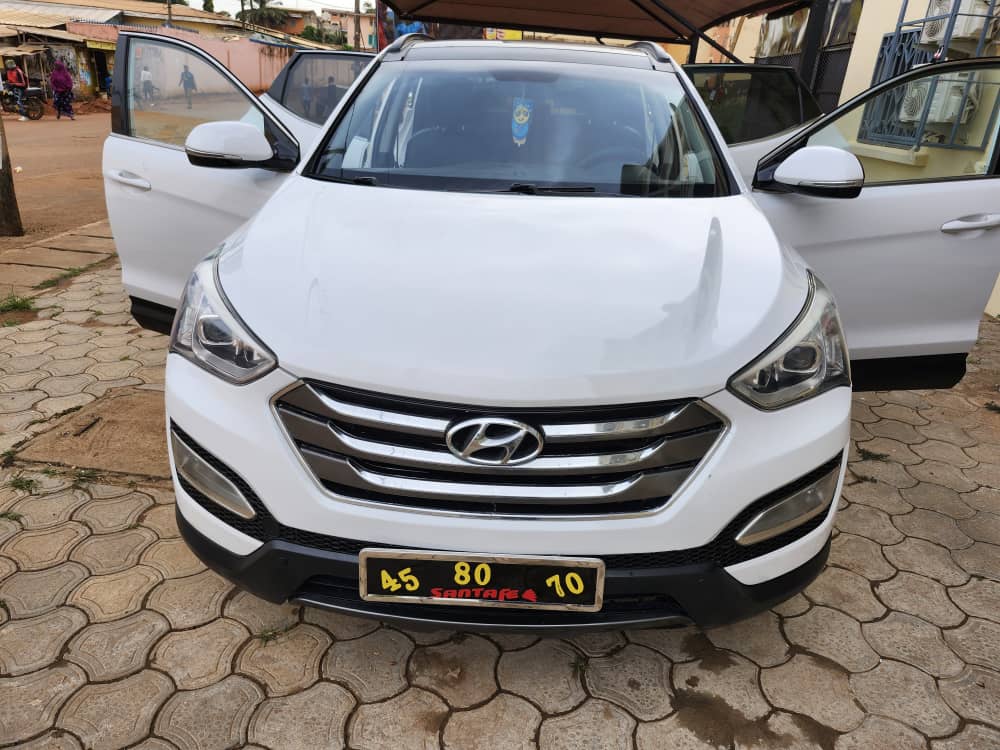 Coffre spacieux du Hyundai Santa Fe 2014, idéal pour les familles