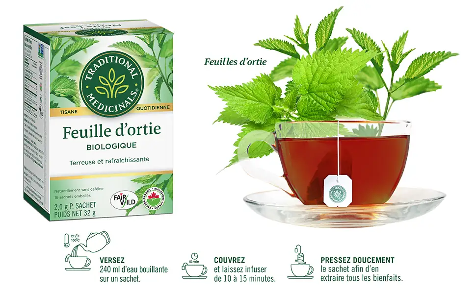 Tisane Feuilles d'Ortie Traditional Medicinals - Infusion Bio 16 Sachets – Image 2