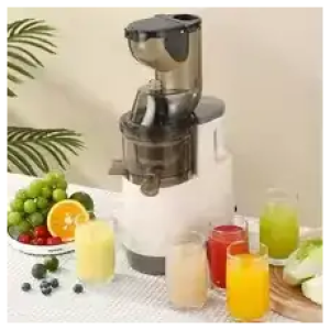 Extracteur de Jus Mastication Lente - Presse Fruits Légumes - Sans BPA