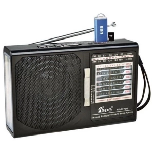 Radio Portable Fepe FP-1773U FP-1775U FM AM SW USB TF Rechargeable